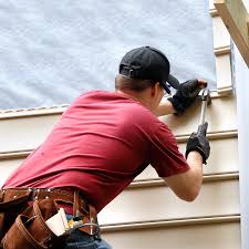 Best Historical Building Siding Restoration  in Palatine, IL